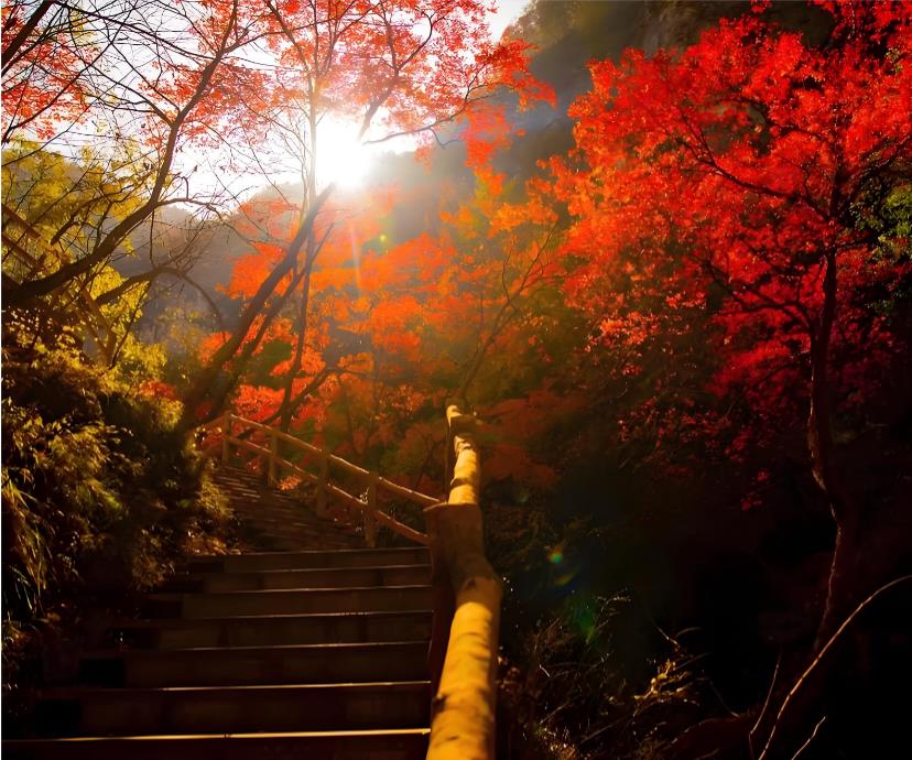 西安半小时直达！太平峪顺线打卡，彩林瀑布一路美到心醉